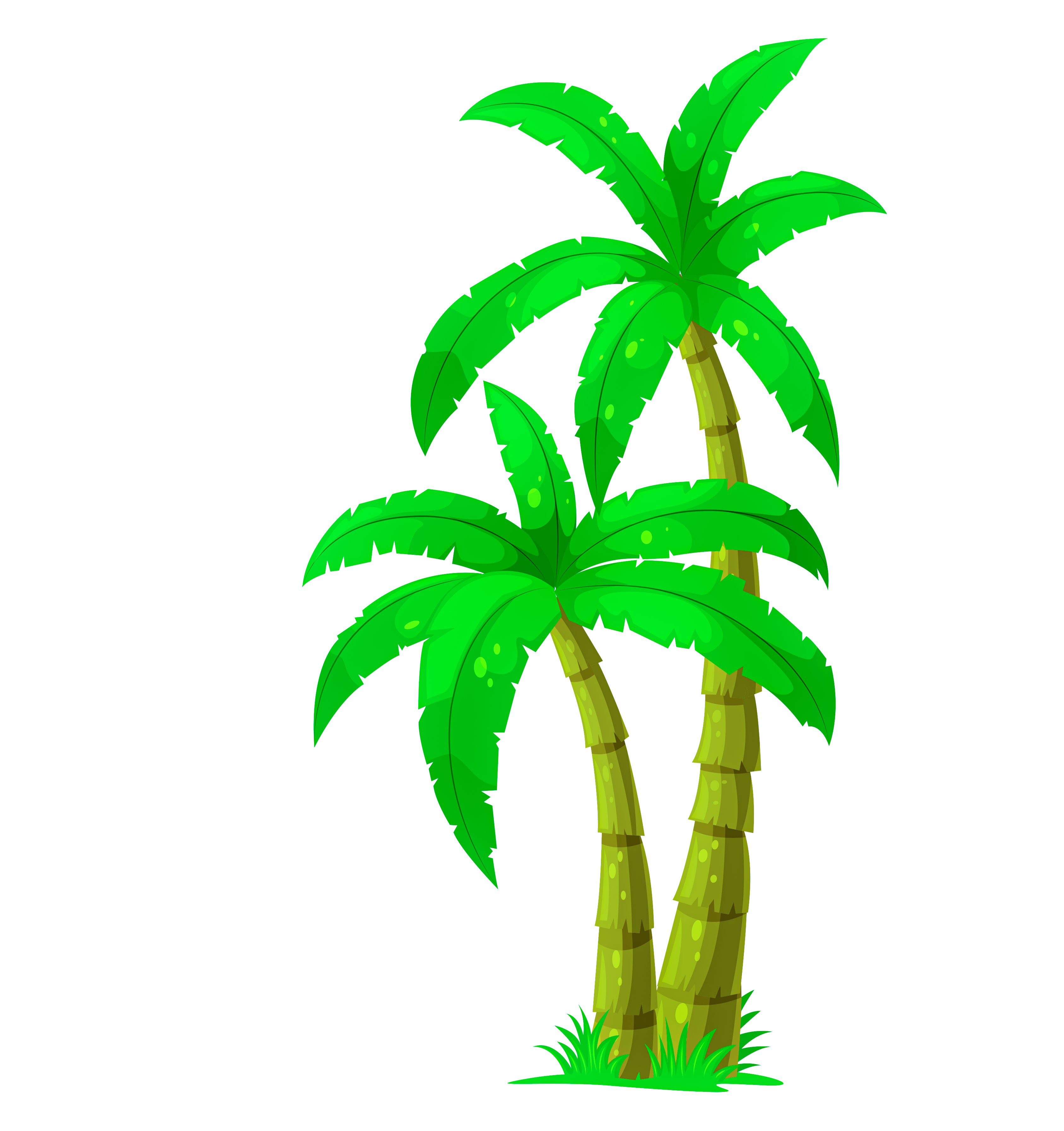 palmtrees-img